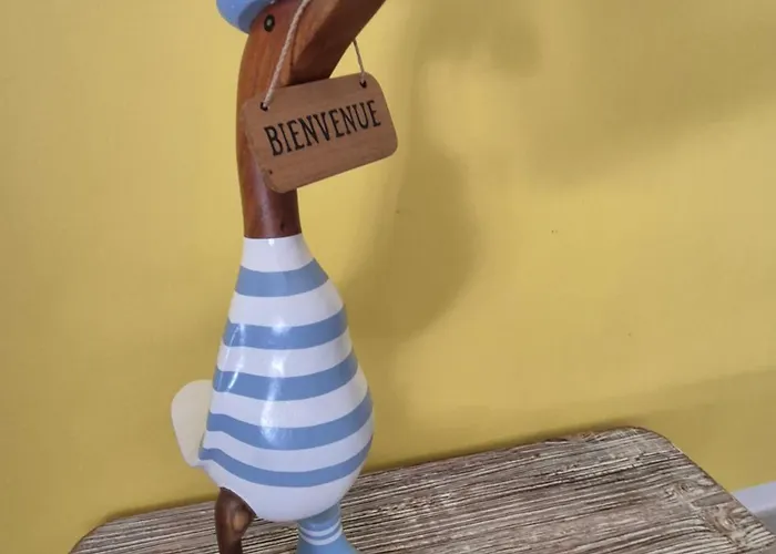 Maison Les Bains - Jacuzzi Et Piscine * Andernos-les-Bains