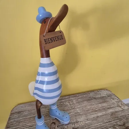 Maison Les Bains - Jacuzzi Et Piscine * Andernos-les-Bains